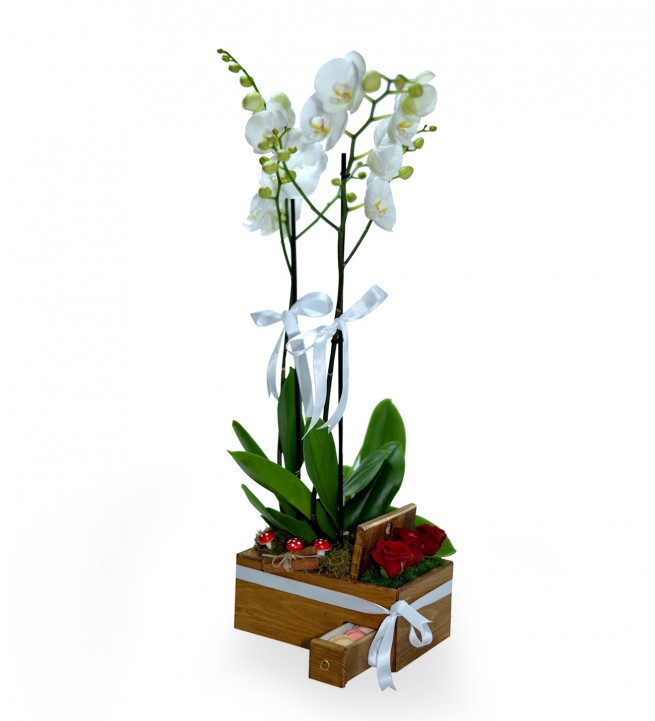 Ahşapta Çift Dal Beyaz Orkide Kırmızı Güller Ve Makaronlar