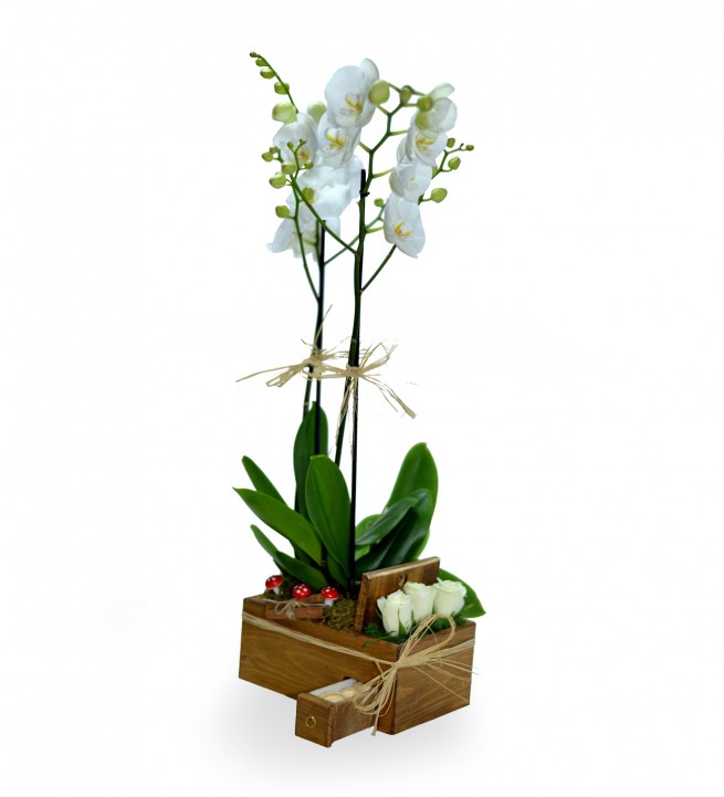  Ahşapta Çift Dal Beyaz Orkide Beyaz Güller Ve Makaronlar