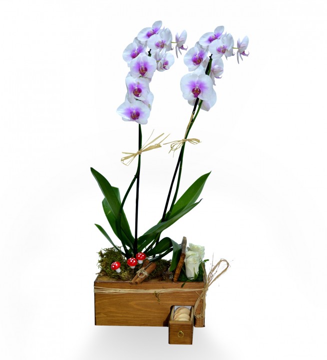 Ahşapta Çift Dal Renkli Orkide Beyaz Güller Ve Makaronlar
