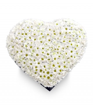 Büyük Siyah Kalp Kutuda Beyaz Papatyalar-Kalp Kutuda Çiçek