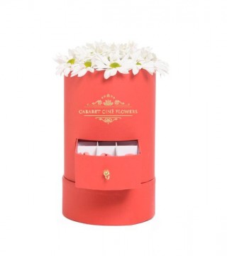 Kırmızı Silindir Kutuda Beyaz Papatyalar Ve Makaronlar-Küçük Silindir Kutuda Çiçek