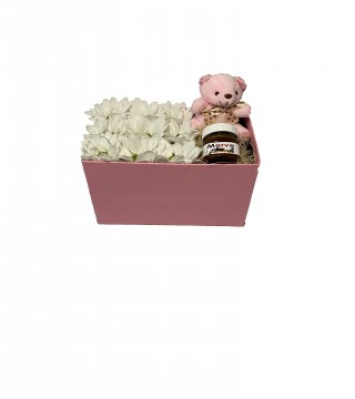 Pembe Kutuda Beyaz Papatya Peluş Ayı ve Kişiye Özel Nutella-Kutuda Çiçek