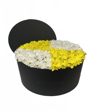 XXL Silindir Kutuda Beyaz ve Sarı Papatya-Büyük Silindir Kutuda Çiçek