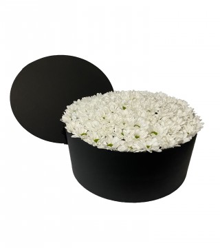XXL Silindir Kutuda Beyaz Papatya-Büyük Silindir Kutuda Çiçek