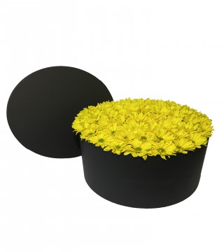 XXL Silindir Kutuda Sarı Papatya-Büyük Silindir Kutuda Çiçek