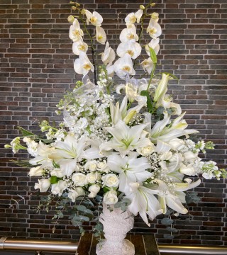 Özel Seramik Vazoda Beyaz Çift Dal Orkide ve Aranjman Tasarımı-Orkideler