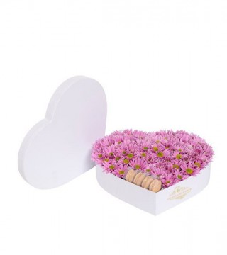 Beyaz Kalp Kutuda Pembe Papatyalar Ve Makaronlar-Kalp Kutuda Çiçek