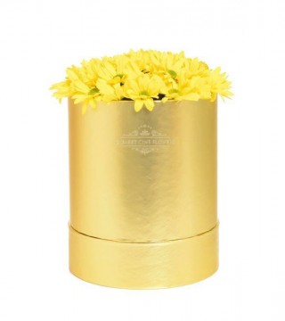 Büyük Boy Gold Silindir Kutuda Sarı Papatyalar-Büyük Silindir Kutuda Çiçek