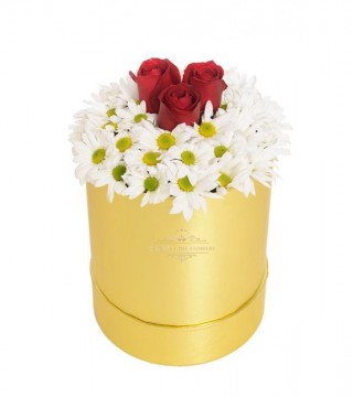 Büyük Boy Gold Silindir Kutuda Beyaz Papatyalar Ve Kırmızı Güller-Büyük Silindir Kutuda Çiçek