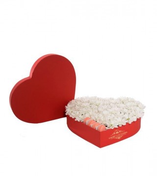 Kırmızı Kalp Kutuda Beyaz Papatyalar Ve Makaron-Kalp Kutuda Çiçek