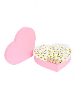 Pembe Kalp Kutuda Beyaz Papatyalar Ve Makaronlar-Kalp Kutuda Çiçek