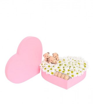Pembe Kalp Kutuda Beyaz Papatyalar Kahve Peluş Ayıcıklar Ve Makaronlar-Kalp Kutuda Çiçek