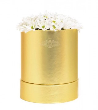 Büyük Boy Gold Silindir Kutuda Beyaz Papatyalar-Büyük Silindir Kutuda Çiçek