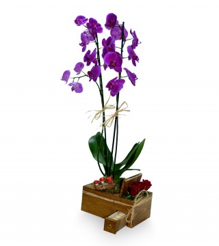 Ahşapta Çift Dal Mor Orkide Kırmızı Güller ve Makaronlar-Orkideler